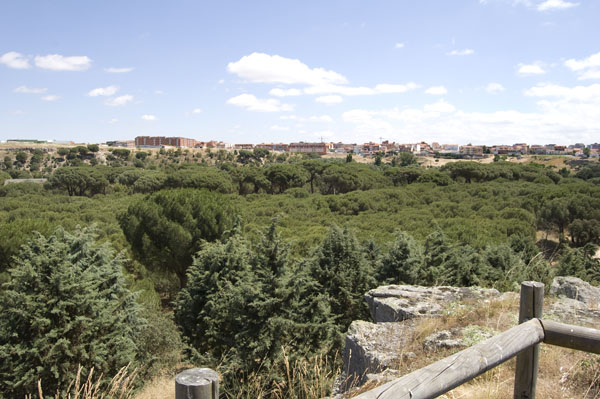 Un recorrido por las calles y plazas más típicas de Zamora.