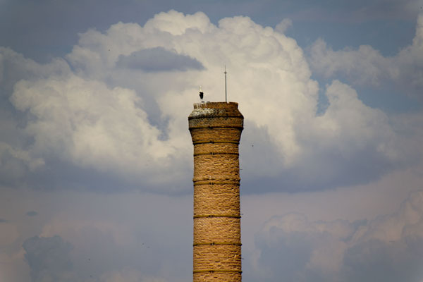 Recorrido por los edificios públicos más destacados de la ciudad, desde los más antiguos hasta los más recientes.